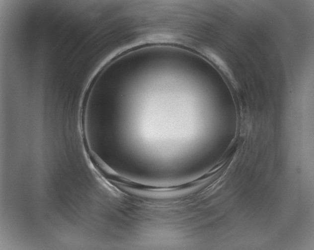 X0000073871342200608101500