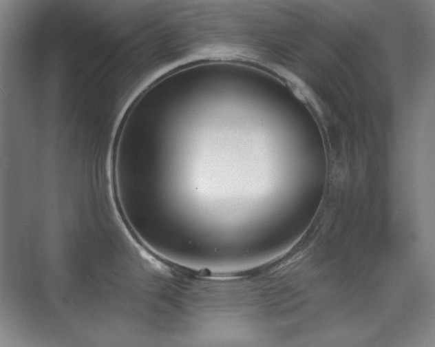 X0000073871343200608101500