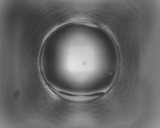 X0000073871344200608101500