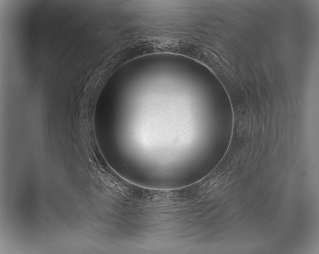 X0000073871345200608101459