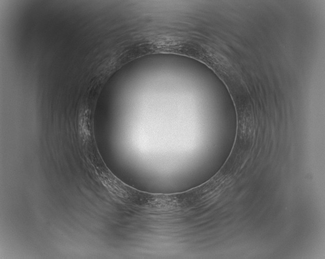 X0000073871346200608101459