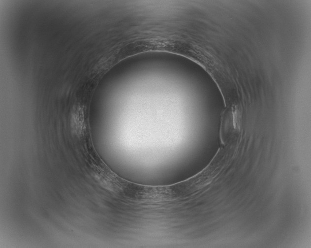 X0000073871347200608101459