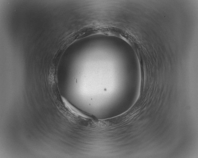 X0000073871348200608101459