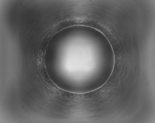 X0000073871349200608101459