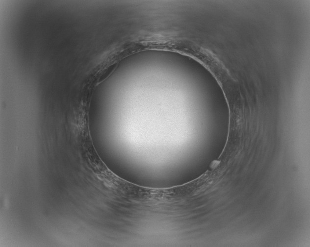 X0000073871350200608101459