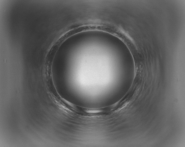 X0000073871352200608101459