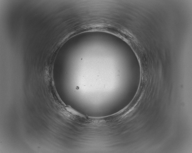 X0000073871353200608101459