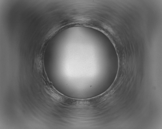 X0000073871354200608101459