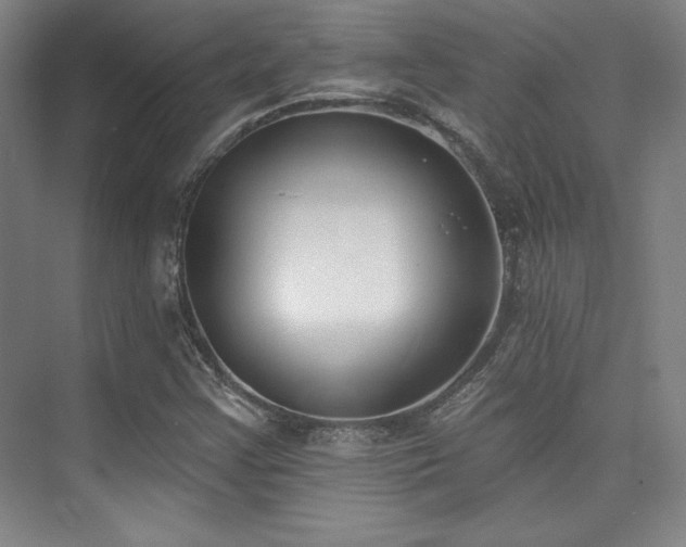 X0000073871355200608101459