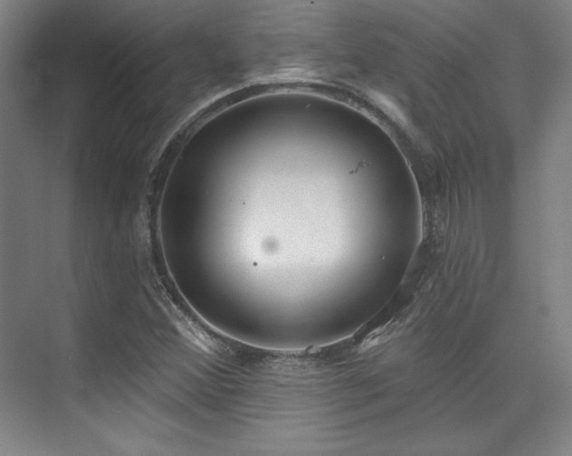 X0000073871356200608101459