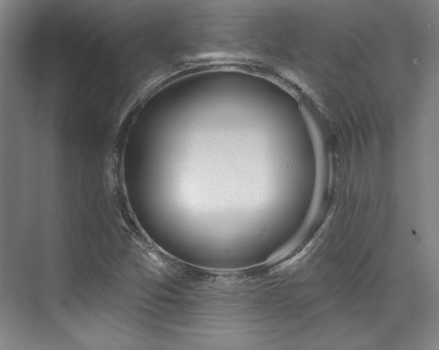 X0000073871357200608101459