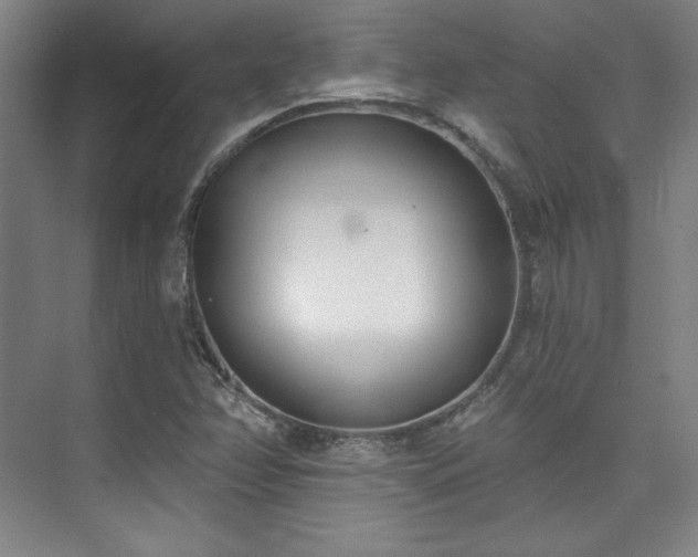 X0000073871358200608101459