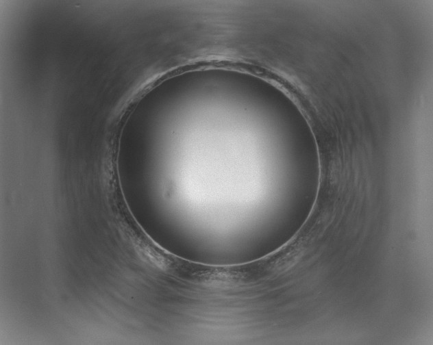 X0000073871359200608101459