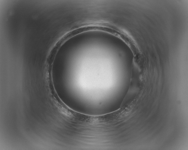 X0000073871360200608101459