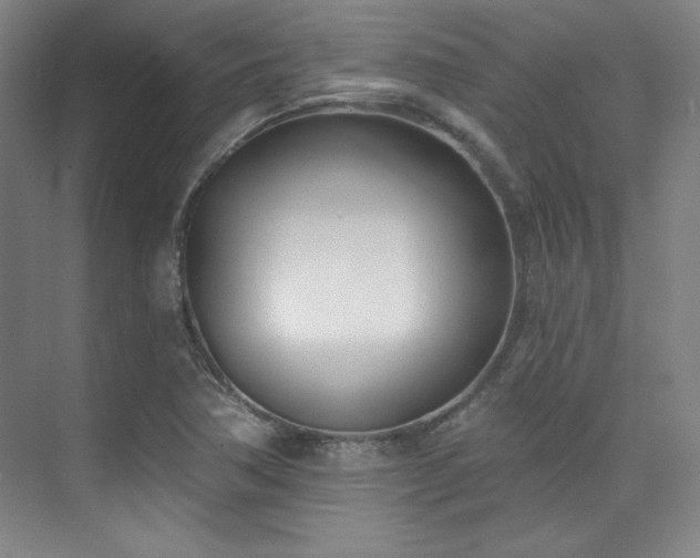 X0000073871362200608101459