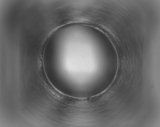 X0000073871363200608101459