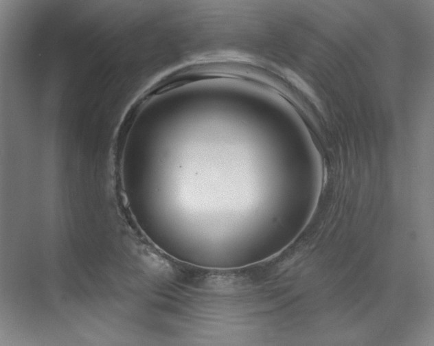 X0000073871364200608101459