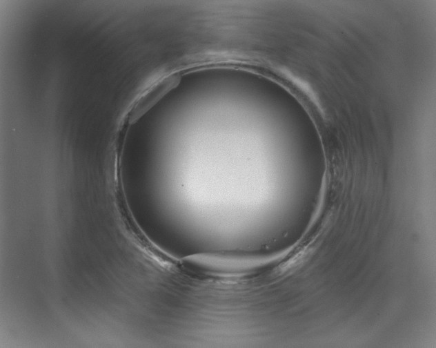 X0000073871365200608101459