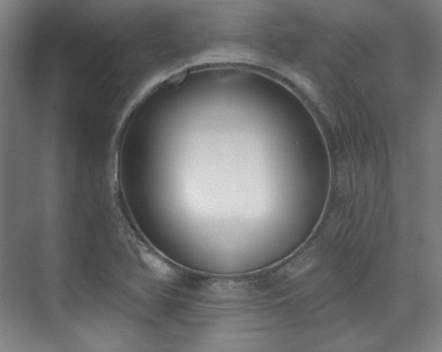 X0000073871366200608101459