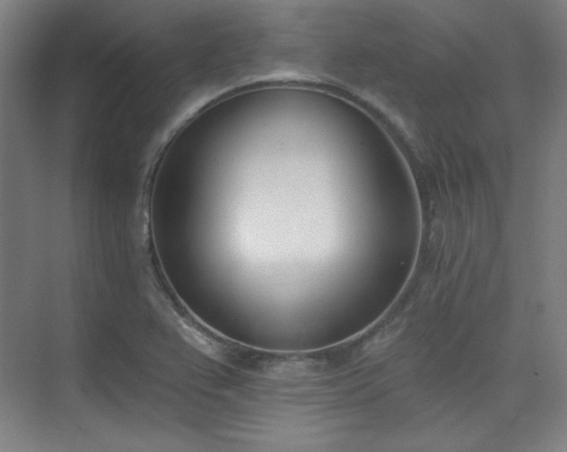 X0000073871367200608101459