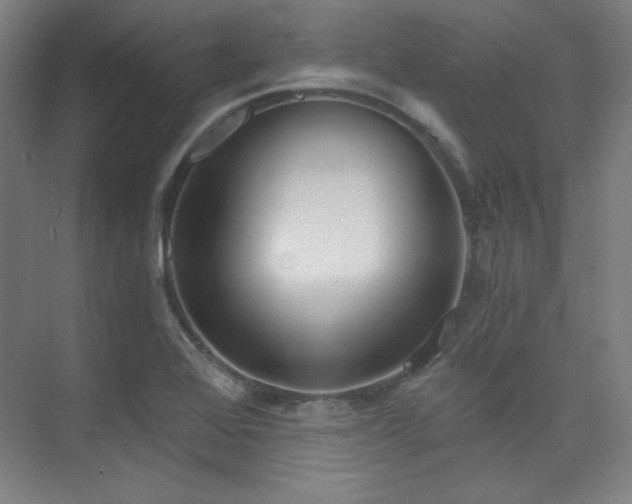 X0000073871368200608101458