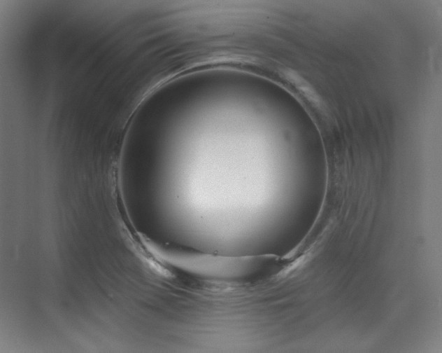 X0000073871369200608101458