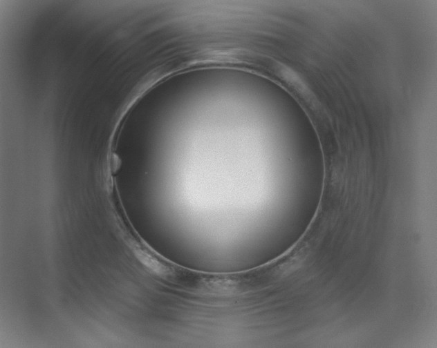 X0000073871370200608101458