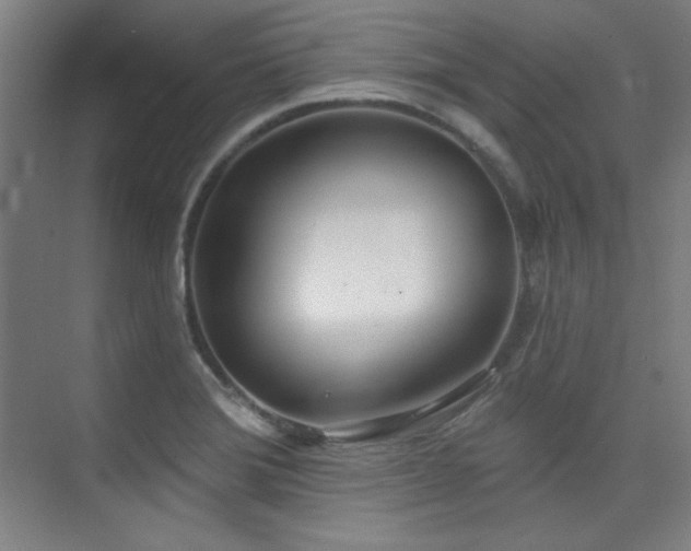 X0000073871372200608101458