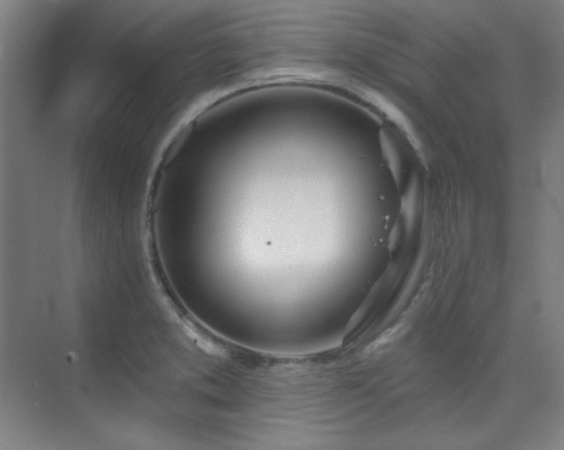 X0000073871373200608101458