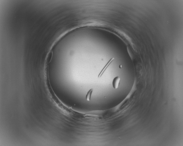 X0000073871375200608101458