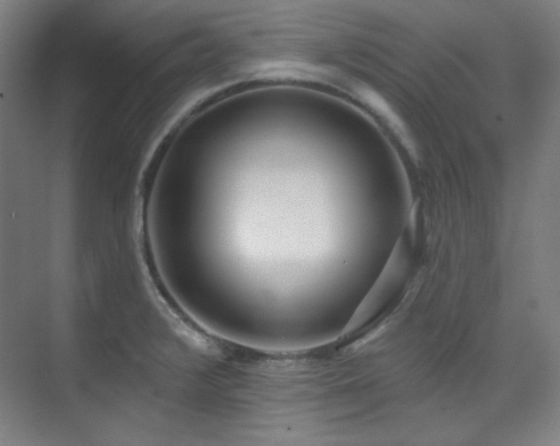 X0000073871376200608101458