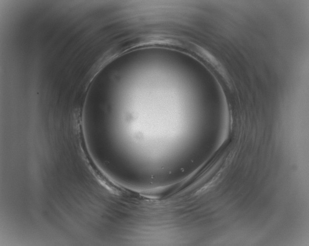 X0000073871377200608101458