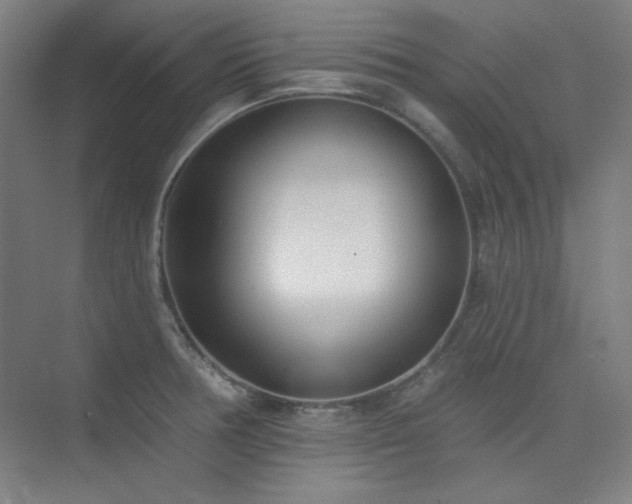 X0000073871378200608101458