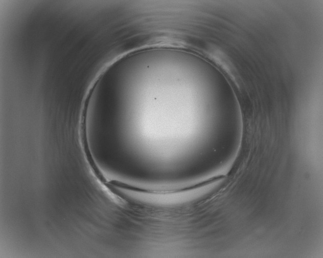 X0000073871379200608101458