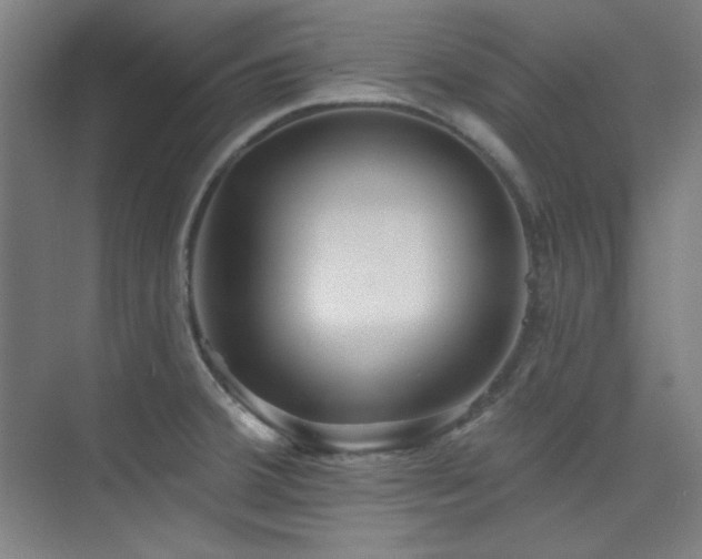 X0000073871380200608101458