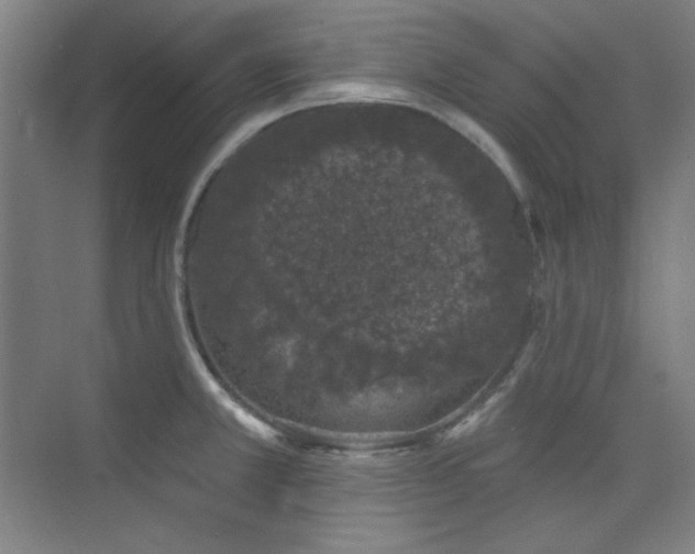 X0000073871381200608101458