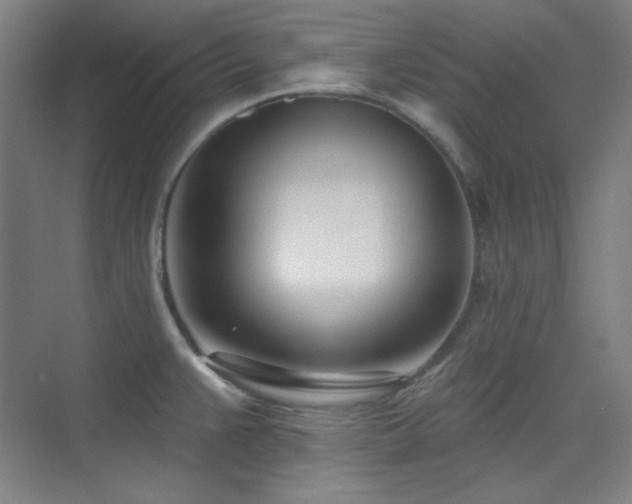 X0000073871383200608101458