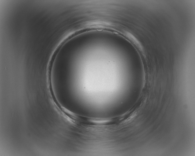 X0000073871384200608101458