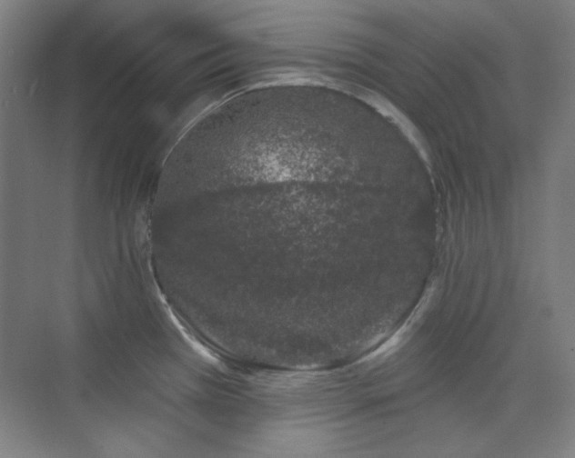 X0000073871385200608101458