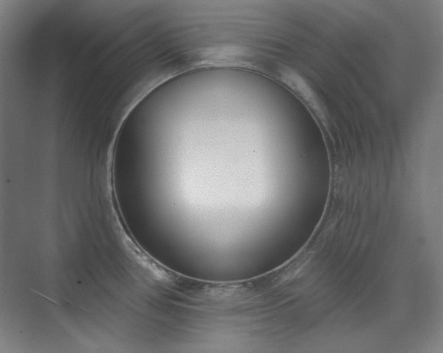 X0000073871386200608101458