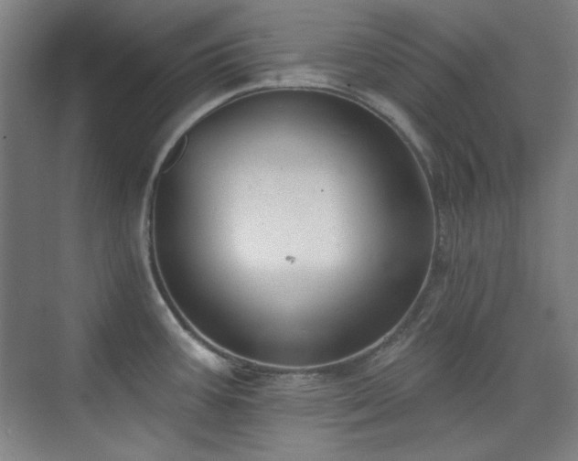 X0000073871387200608101458