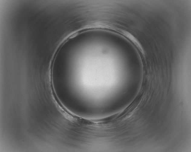 X0000073871388200608101458