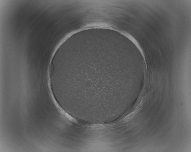 X0000073871389200608101458