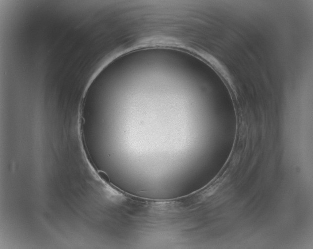 X0000073871390200608101458