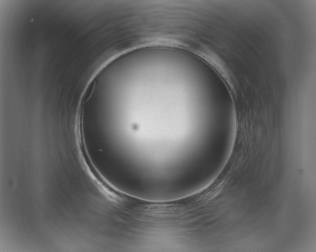 X0000073871391200608101458