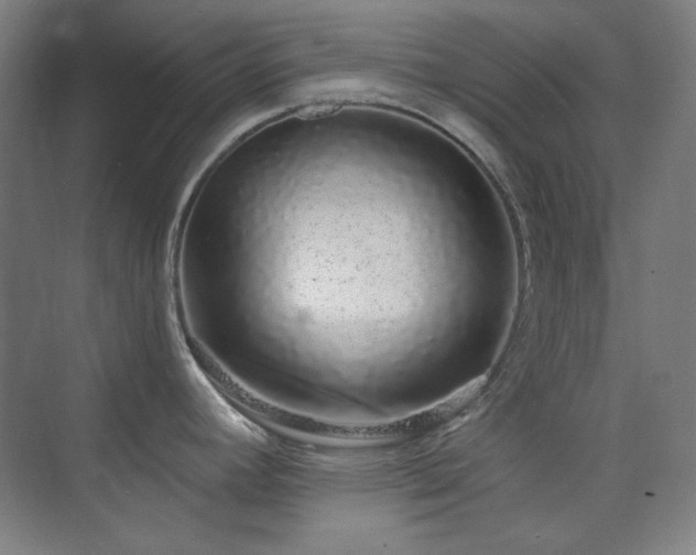 X0000073871392200608101458