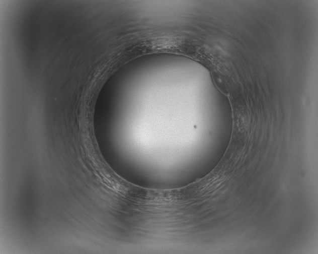 X0000073871393200608101457