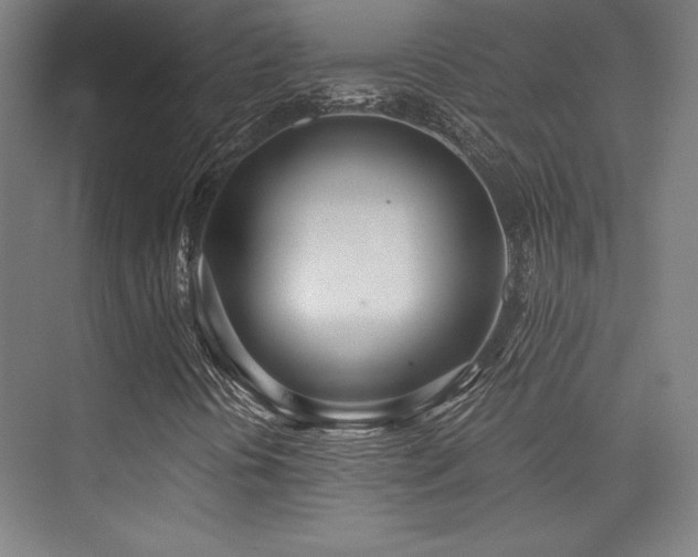 X0000073871394200608101457