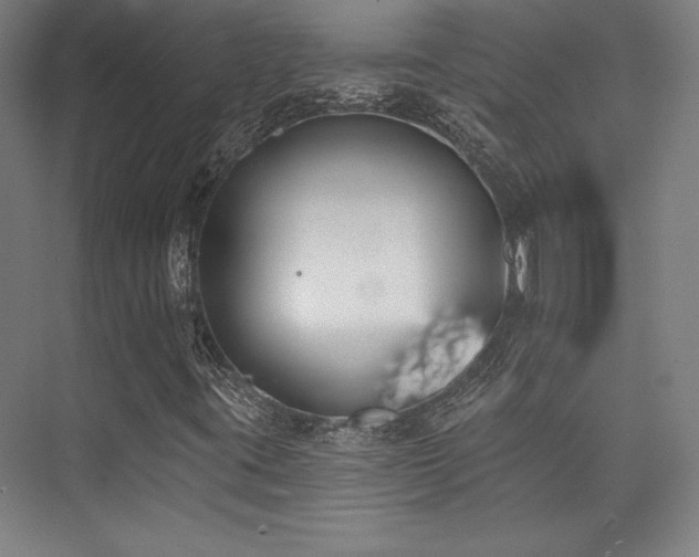 X0000073871395200608101457