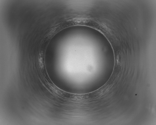 X0000073871396200608101457